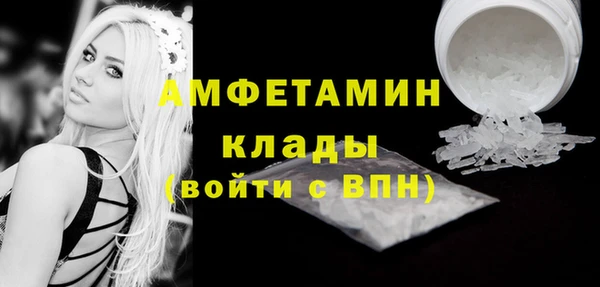 гидра Кулебаки