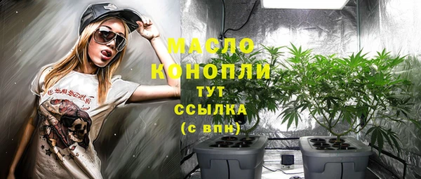 гидра Кулебаки