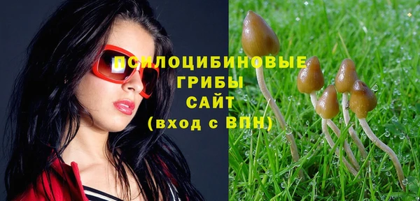 spice Кукмор