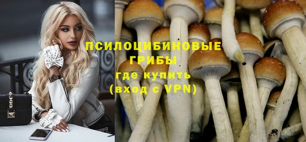 spice Кукмор