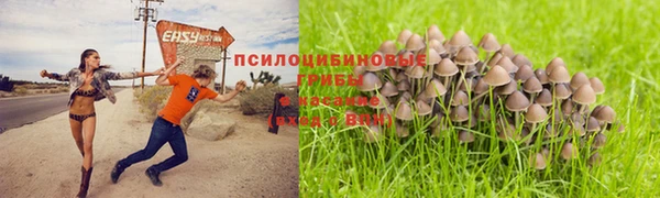 spice Кукмор