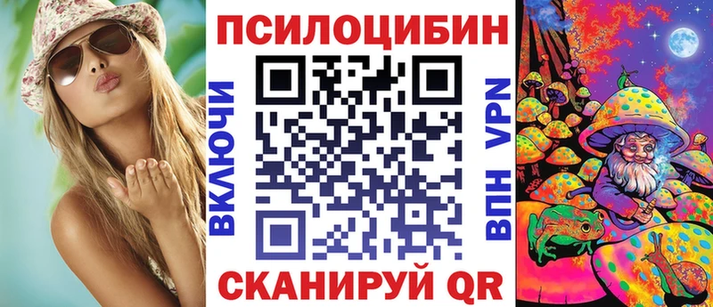 Купить где  Ковров  Псилоцибиновые грибы мицелий 
